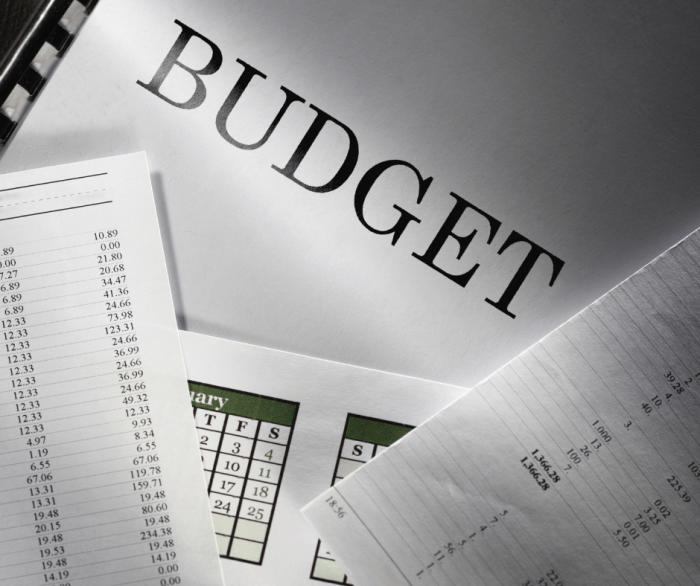 Budgeting for Entrepreneurs